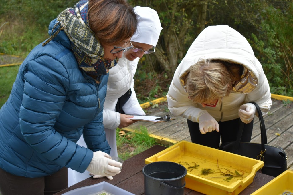 SECONDO STEP PROGETTO&nbsp;STEM