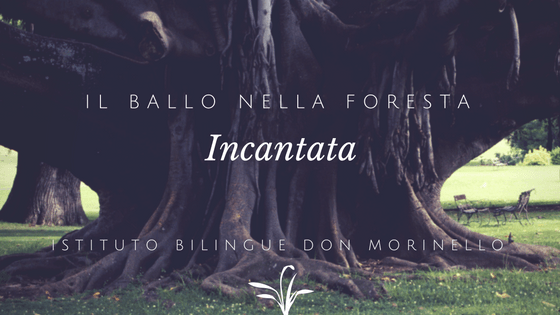 EBOOK: IL BALLO NELLA FORESTA&nbsp;INCANTATA