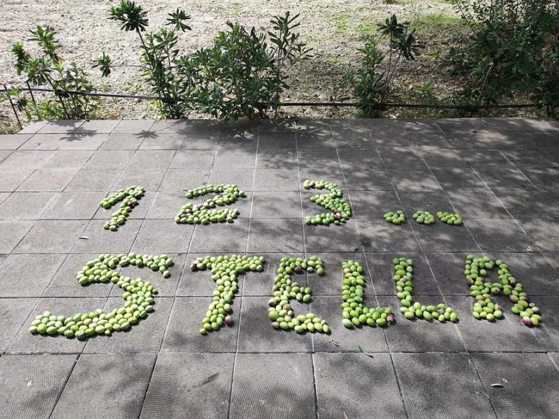 PROGETTO PN. UN, DUE, TRE…&nbsp;STELLA!