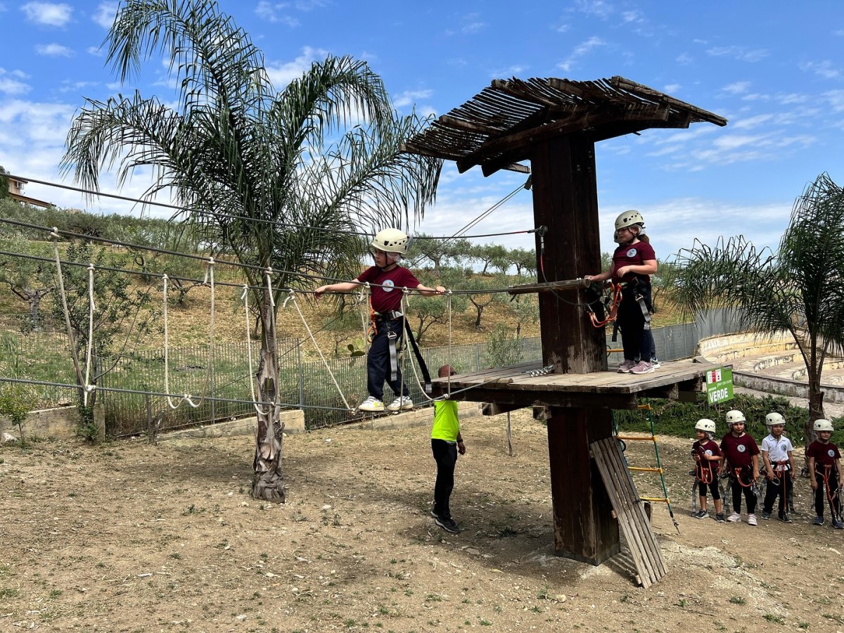 Parco avventura “il boschetto”